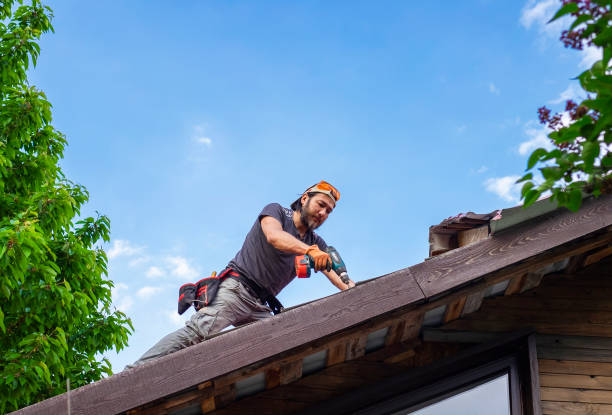 Professional Roofing services in Venus, TX