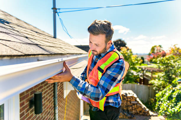 Best Roof Moss and Algae Removal  in Venus, TX